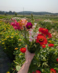 Pottery & Blooms: Vase Making Workshop
